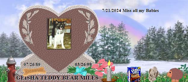 GEISHA TEDDY BEAR MILES's Rainbow Bridge Pet Loss Memorial Residency Image