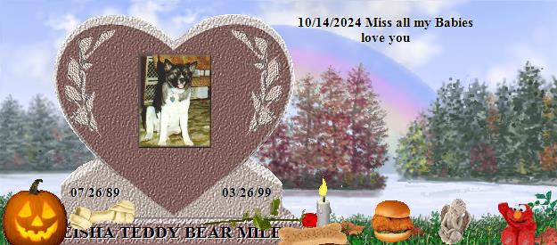 GEISHA TEDDY BEAR MILES's Rainbow Bridge Pet Loss Memorial Residency Image