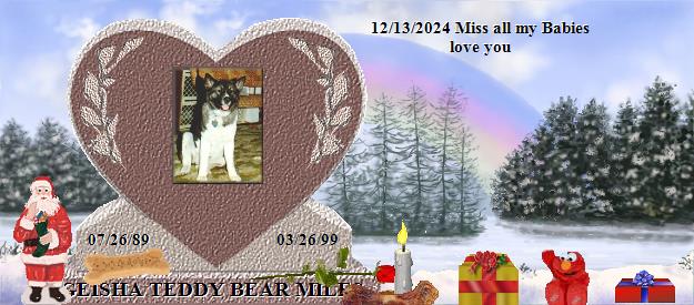 GEISHA TEDDY BEAR MILES's Rainbow Bridge Pet Loss Memorial Residency Image