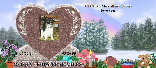 GEISHA TEDDY BEAR MILES's Rainbow Bridge Pet Loss Memorial Residency Image