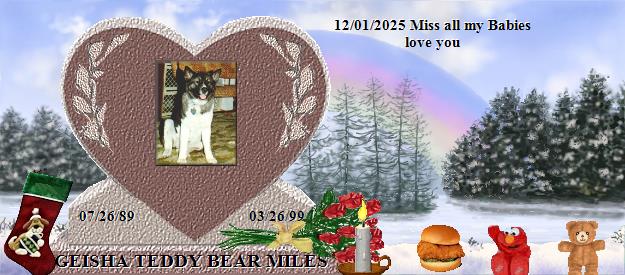 GEISHA TEDDY BEAR MILES's Rainbow Bridge Pet Loss Memorial Residency Image