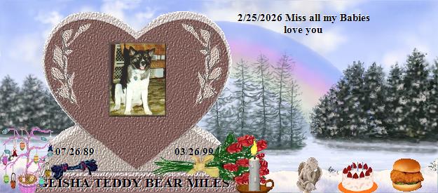 GEISHA TEDDY BEAR MILES's Rainbow Bridge Pet Loss Memorial Residency Image