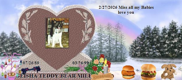 GEISHA TEDDY BEAR MILES's Rainbow Bridge Pet Loss Memorial Residency Image