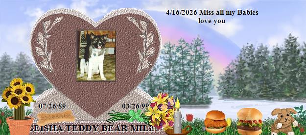 GEISHA TEDDY BEAR MILES's Rainbow Bridge Pet Loss Memorial Residency Image
