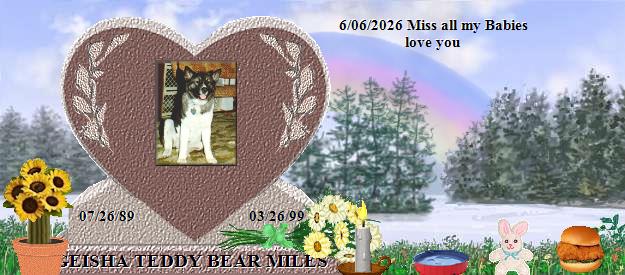 GEISHA TEDDY BEAR MILES's Rainbow Bridge Pet Loss Memorial Residency Image