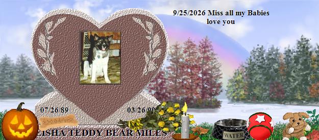 GEISHA TEDDY BEAR MILES's Rainbow Bridge Pet Loss Memorial Residency Image