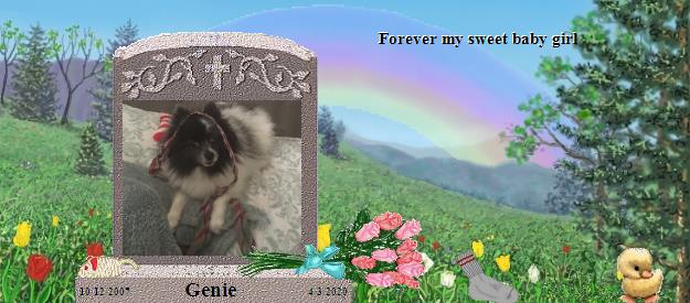 Genie's Rainbow Bridge Pet Loss Memorial Residency Image