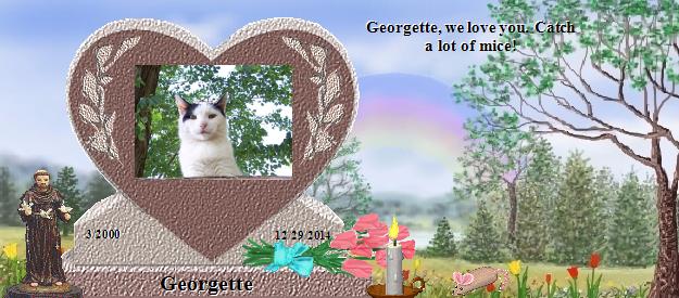 Georgette's Rainbow Bridge Pet Loss Memorial Residency Image