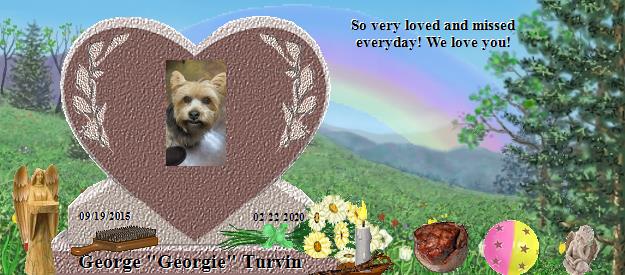 George "Georgie" Turvin's Rainbow Bridge Pet Loss Memorial Residency Image