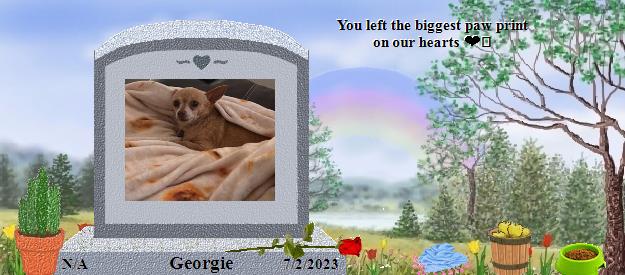 Georgie's Rainbow Bridge Pet Loss Memorial Residency Image