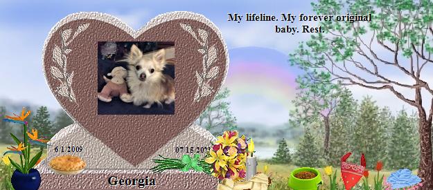 Georgia's Rainbow Bridge Pet Loss Memorial Residency Image