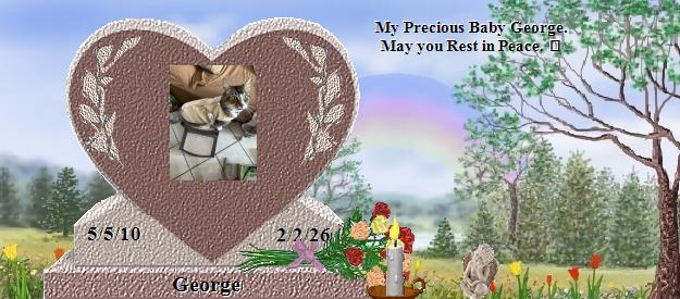 George's Rainbow Bridge Pet Loss Memorial Residency Image