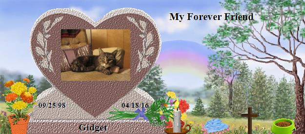 Gidget's Rainbow Bridge Pet Loss Memorial Residency Image
