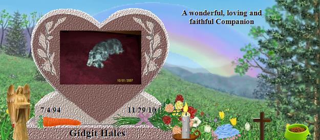 Gidgit Hales's Rainbow Bridge Pet Loss Memorial Residency Image