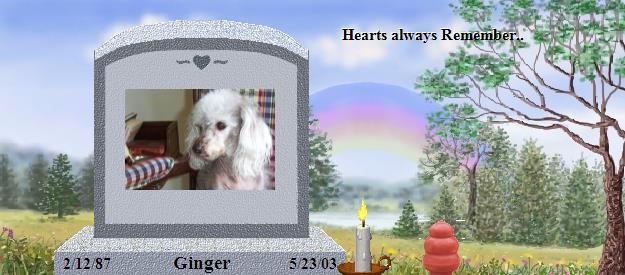 Ginger's Rainbow Bridge Pet Loss Memorial Residency Image