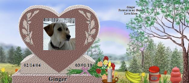 Ginger's Rainbow Bridge Pet Loss Memorial Residency Image
