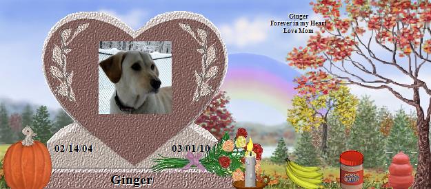 Ginger's Rainbow Bridge Pet Loss Memorial Residency Image