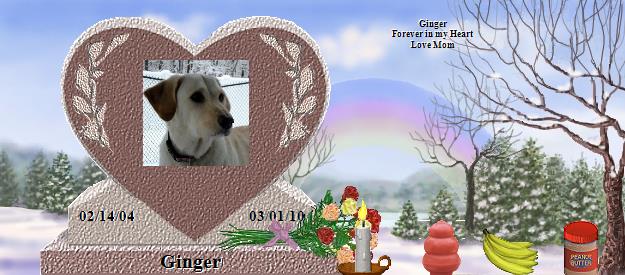 Ginger's Rainbow Bridge Pet Loss Memorial Residency Image