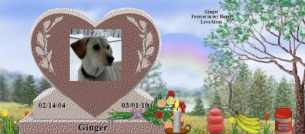 Ginger's Rainbow Bridge Pet Loss Memorial Residency Image
