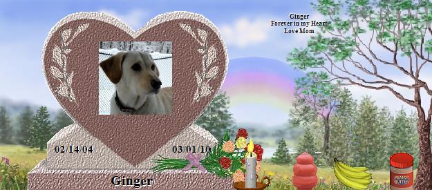 Ginger's Rainbow Bridge Pet Loss Memorial Residency Image