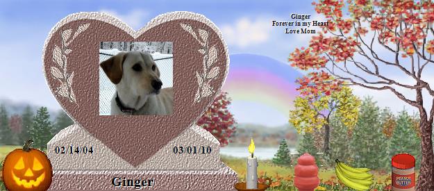 Ginger's Rainbow Bridge Pet Loss Memorial Residency Image