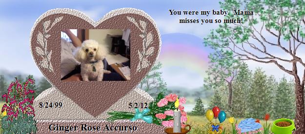 Ginger Rose Accurso's Rainbow Bridge Pet Loss Memorial Residency Image