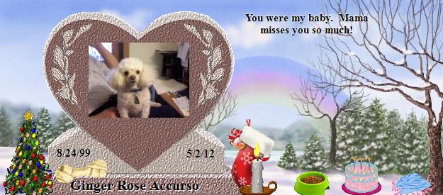 Ginger Rose Accurso's Rainbow Bridge Pet Loss Memorial Residency Image