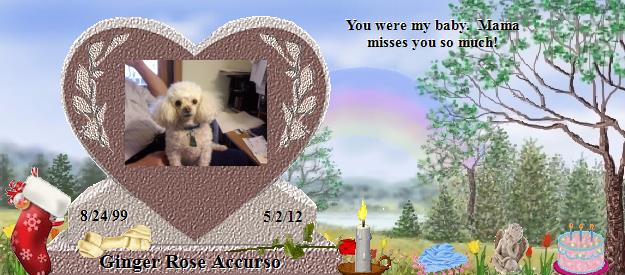 Ginger Rose Accurso's Rainbow Bridge Pet Loss Memorial Residency Image