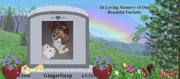 GingerSnap's Rainbow Bridge Pet Loss Memorial Residency Image