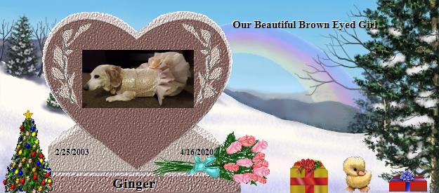 Ginger's Rainbow Bridge Pet Loss Memorial Residency Image