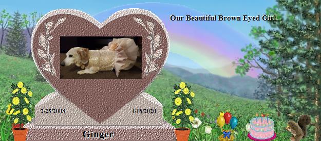 Ginger's Rainbow Bridge Pet Loss Memorial Residency Image