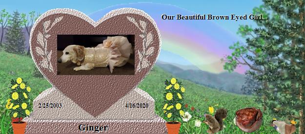 Ginger's Rainbow Bridge Pet Loss Memorial Residency Image