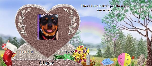 Ginger's Rainbow Bridge Pet Loss Memorial Residency Image