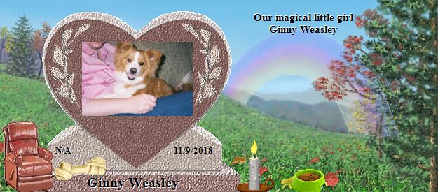 Ginny Weasley's Rainbow Bridge Pet Loss Memorial Residency Image