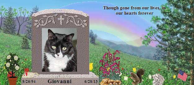 Giovanni's Rainbow Bridge Pet Loss Memorial Residency Image