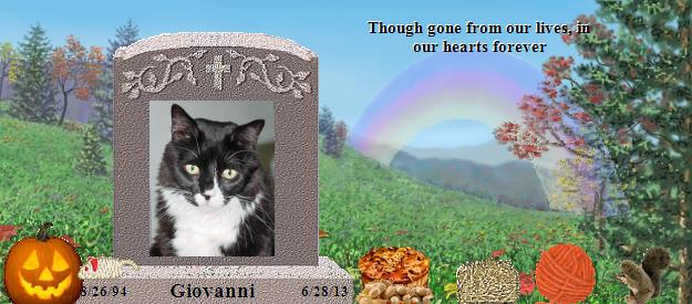 Giovanni's Rainbow Bridge Pet Loss Memorial Residency Image
