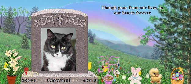 Giovanni's Rainbow Bridge Pet Loss Memorial Residency Image