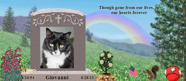 Giovanni's Rainbow Bridge Pet Loss Memorial Residency Image