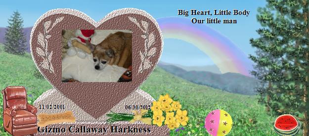 Gizmo Callaway Harkness's Rainbow Bridge Pet Loss Memorial Residency Image