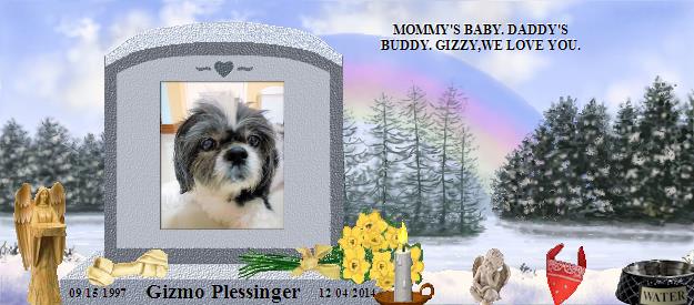 Gizmo Plessinger's Rainbow Bridge Pet Loss Memorial Residency Image