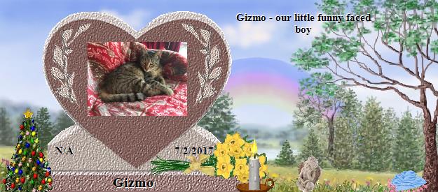 Gizmo's Rainbow Bridge Pet Loss Memorial Residency Image