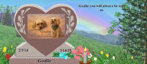 Goalie's Rainbow Bridge Pet Loss Memorial Residency Image