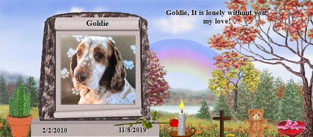 Goldie's Rainbow Bridge Pet Loss Memorial Residency Image