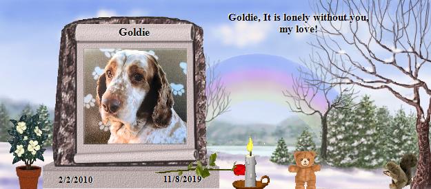 Goldie's Rainbow Bridge Pet Loss Memorial Residency Image