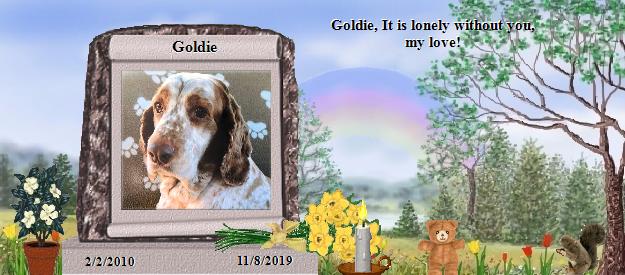 Goldie's Rainbow Bridge Pet Loss Memorial Residency Image