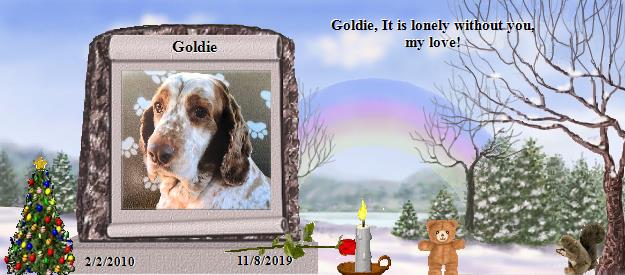 Goldie's Rainbow Bridge Pet Loss Memorial Residency Image