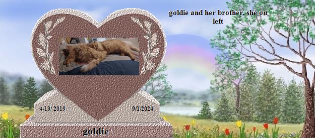 goldie's Rainbow Bridge Pet Loss Memorial Residency Image