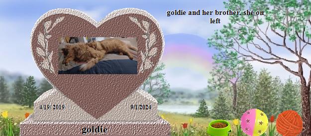 goldie's Rainbow Bridge Pet Loss Memorial Residency Image