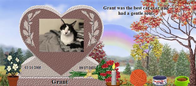 Grant's Rainbow Bridge Pet Loss Memorial Residency Image