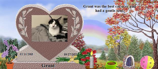 Grant's Rainbow Bridge Pet Loss Memorial Residency Image